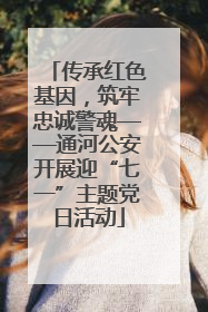 传承红色基因，筑牢忠诚警魂——通河公安开展迎“七一”主题党日活动