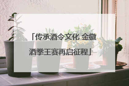 传承酒令文化 金徽酒拳王赛再启征程
