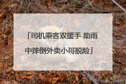 司机乘客双援手 助雨中摔倒外卖小哥脱险