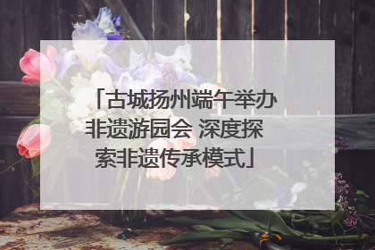 古城扬州端午举办非遗游园会 深度探索非遗传承模式