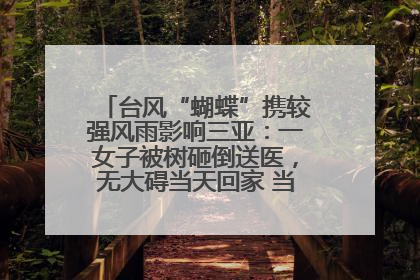 台风“蝴蝶”携较强风雨影响三亚：一女子被树砸倒送医，无大碍当天回家 当地已紧急清障
