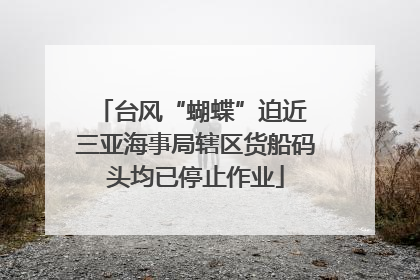 台风“蝴蝶”迫近 三亚海事局辖区货船码头均已停止作业
