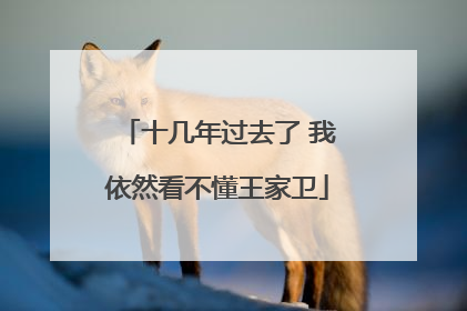 十几年过去了 我依然看不懂王家卫