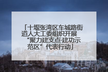 十堰张湾区车城路街道人大工委组织开展 “聚力建支点·建功示范区”代表行动