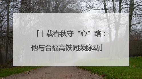 十载春秋守“心”路：他与合福高铁同频脉动