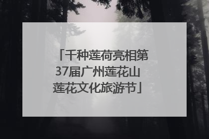 千种莲荷亮相第37届广州莲花山莲花文化旅游节