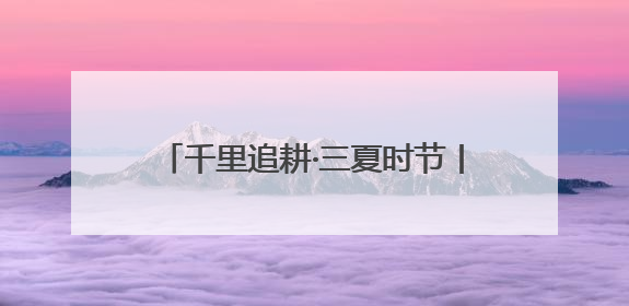 千里追耕·三夏时节丨战三夏保丰收 探索“中原粮仓”里的科技感