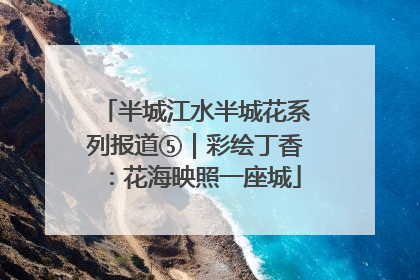 半城江水半城花系列报道⑤｜彩绘丁香：花海映照一座城