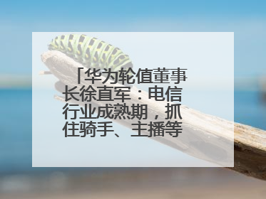 华为轮值董事长徐直军：电信行业成熟期，抓住骑手、主播等成长型需求