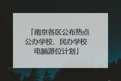 南京各区公布热点公办学校、民办学校电脑派位计划