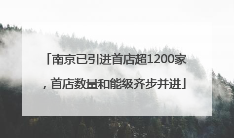 南京已引进首店超1200家，首店数量和能级齐步并进