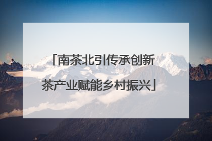 南茶北引传承创新 茶产业赋能乡村振兴
