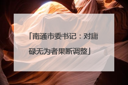 南通市委书记：对庸碌无为者果断调整