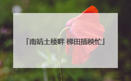 南靖土楼畔 梯田插秧忙