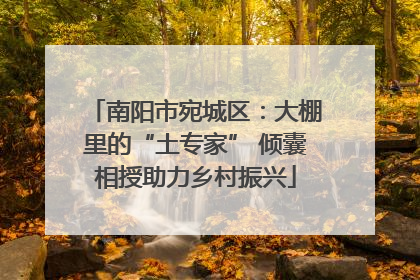 南阳市宛城区：大棚里的“土专家” 倾囊相授助力乡村振兴
