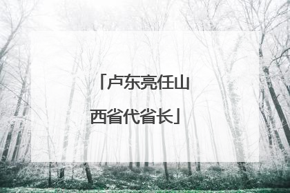 卢东亮任山西省代省长