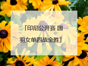 印尼公开赛 国羽女单四战全胜