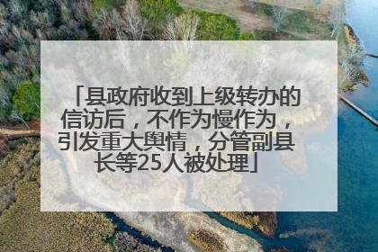 县政府收到上级转办的信访后，不作为慢作为，引发重大舆情，分管副县长等25人被处理