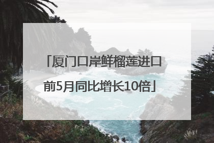厦门口岸鲜榴莲进口 前5月同比增长10倍