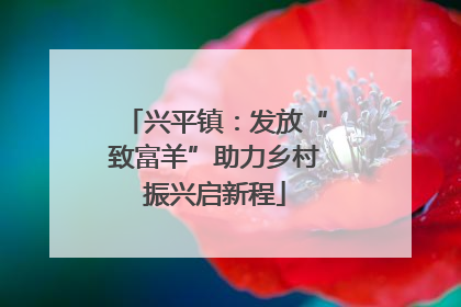 兴平镇：发放“致富羊”助力乡村振兴启新程