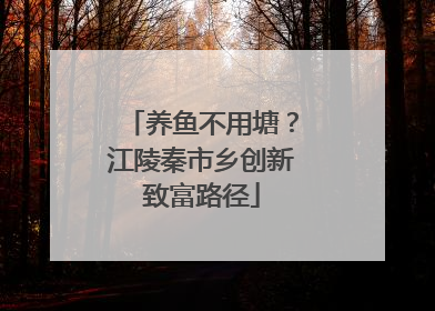 养鱼不用塘？江陵秦市乡创新致富路径