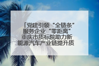 党建引领“全链条” 服务企业“零距离” 重庆市质标院助力新能源汽车产业链提升质量管理水平