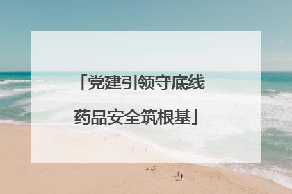 党建引领守底线 药品安全筑根基