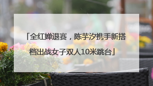 全红婵退赛，陈芋汐携手新搭档出战女子双人10米跳台