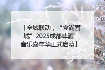 全城联动，“食尚蓉城”2025成都啤酒音乐嘉年华正式启幕