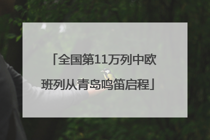 全国第11万列中欧班列从青岛鸣笛启程