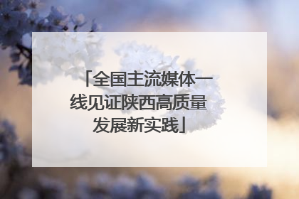 全国主流媒体一线见证陕西高质量发展新实践