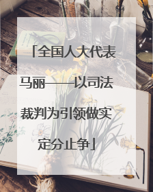 全国人大代表马丽——以司法裁判为引领做实定分止争