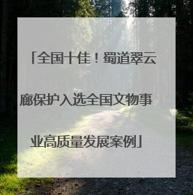 全国十佳！蜀道翠云廊保护入选全国文物事业高质量发展案例