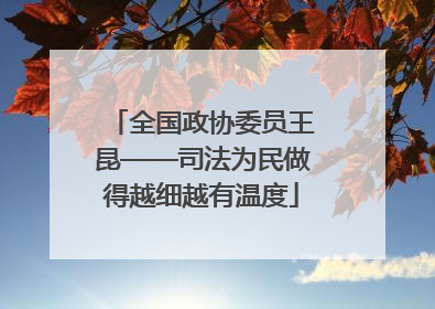 全国政协委员王昆——司法为民做得越细越有温度