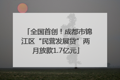 全国首创！成都市锦江区“民营发展贷”两月放款1.7亿元