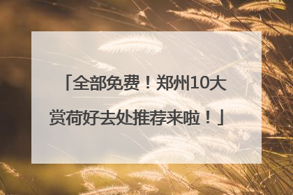 全部免费！郑州10大赏荷好去处推荐来啦！