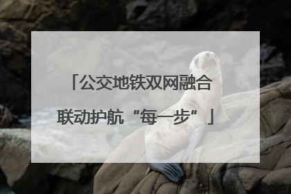 公交地铁双网融合 联动护航“每一步”