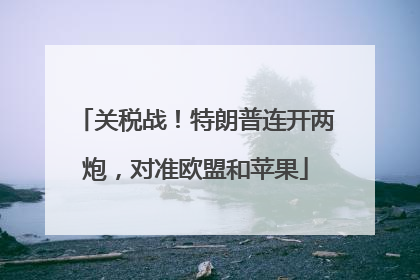 关税战！特朗普连开两炮，对准欧盟和苹果