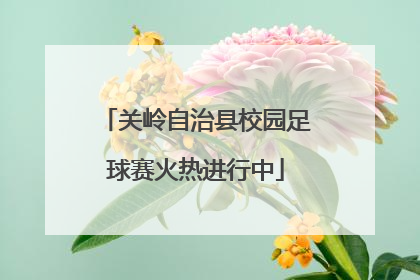 关岭自治县校园足球赛火热进行中