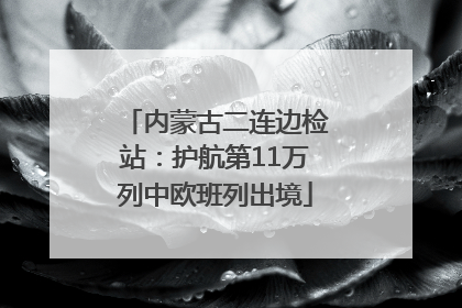 内蒙古二连边检站：护航第11万列中欧班列出境