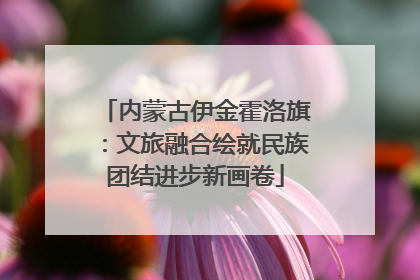 内蒙古伊金霍洛旗：文旅融合绘就民族团结进步新画卷