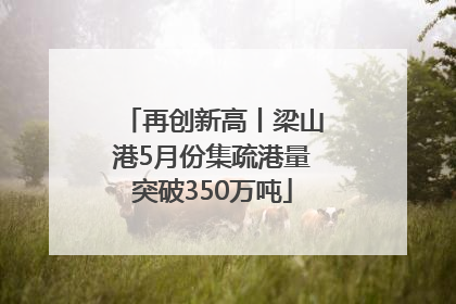 再创新高丨梁山港5月份集疏港量突破350万吨