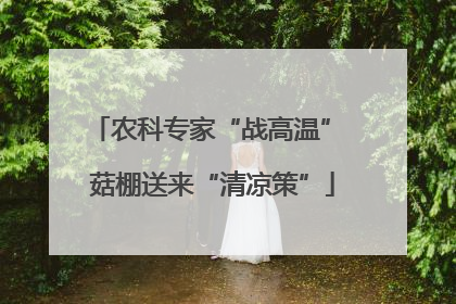 农科专家“战高温” 菇棚送来“清凉策”