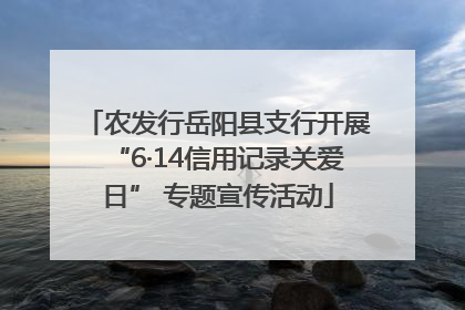 农发行岳阳县支行开展“6·14信用记录关爱日” 专题宣传活动