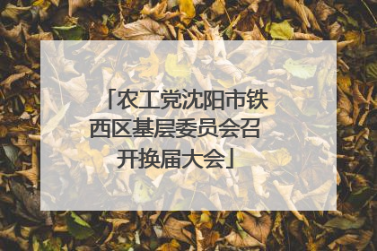 农工党沈阳市铁西区基层委员会召开换届大会