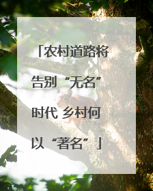 农村道路将告别“无名”时代 乡村何以“著名”