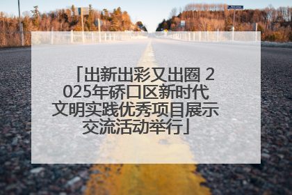 出新出彩又出圈 2025年硚口区新时代文明实践优秀项目展示交流活动举行