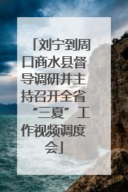 刘宁到周口商水县督导调研并主持召开全省“三夏”工作视频调度会