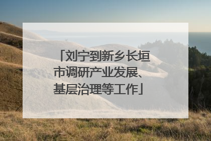 刘宁到新乡长垣市调研产业发展、基层治理等工作