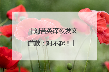 刘若英深夜发文道歉：对不起！